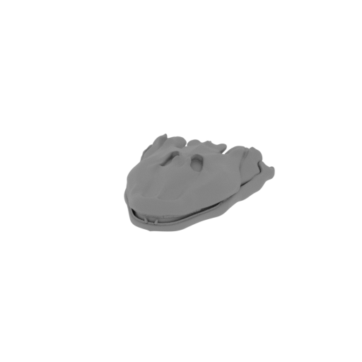 Tiktaalik Skull.stl