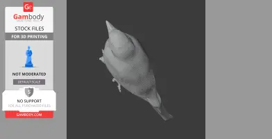 Top view of a detailed 3D model of a bird, shown in grayscale for 3D printing.