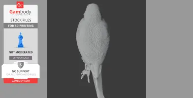 A detailed 3D model of a banded green sunbird viewed from behind, showcasing intricate feather textures.