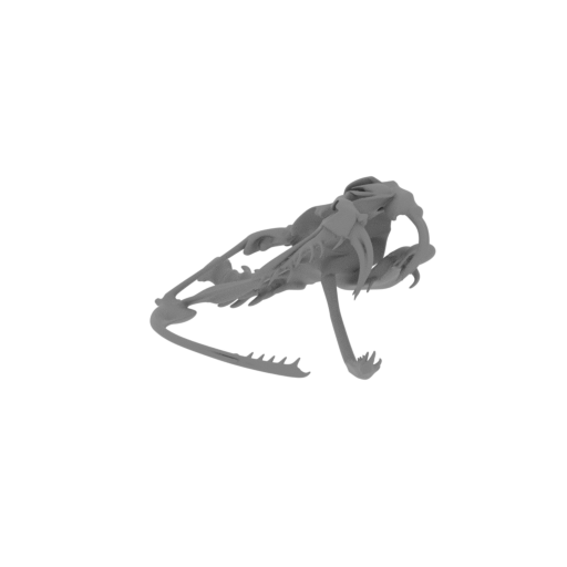 Timber Rattlesnake Skull.stl