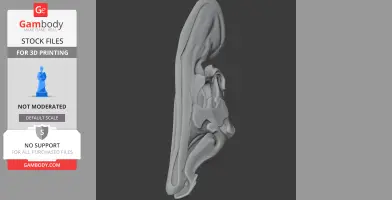 A 3D model of a Tlatolophus skull viewed from the side, suited for 3D printing.