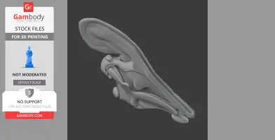 3D model of a Tlatolophus dinosaur skull, side view, designed for 3D printing.
