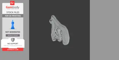 3D model of a Tlatolophus dinosaur skull viewed from the side, designed for 3D printing.