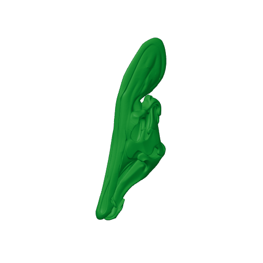 Tlatolophus Skull.3mf