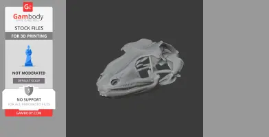 3D model of a Tokay gecko skull, detailed bone structure for printing.