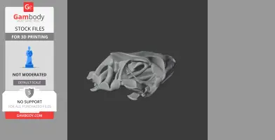 3D model of a Tokay gecko skull, detailed skeletal structure for printing.