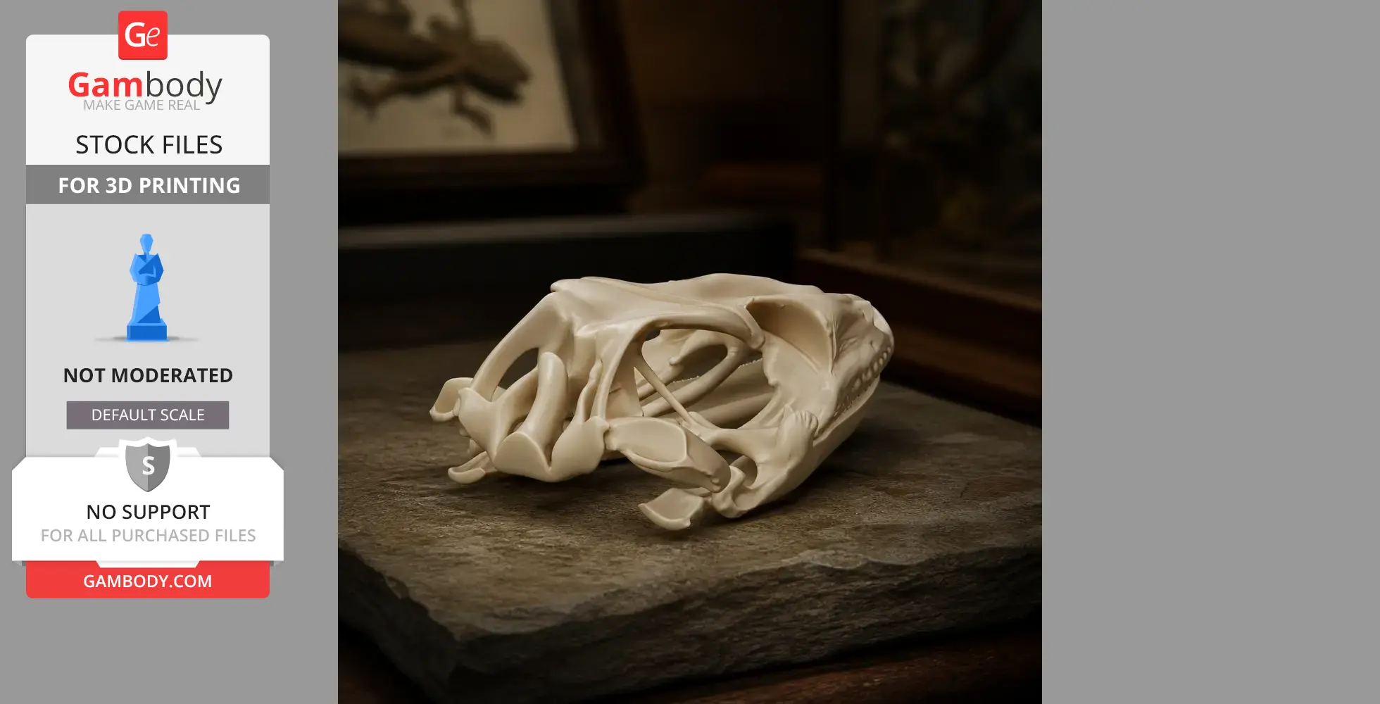 3D printable Tokay gecko skull replica on a stone-like surface.
