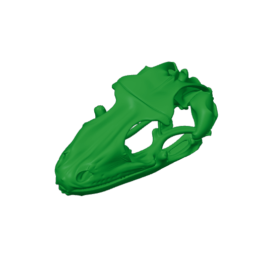 Tokay Gecko Skull.3mf