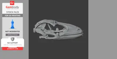3D model of a Tokay gecko skull, detailed and side view, for 3D printing.