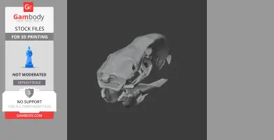 3D model of a Titanis walleri (Terror Bird) skull on a dark background, shown in profile view.