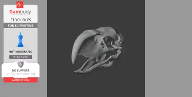 3D model of Titanis walleri (Terror Bird) skull in gray, side profile view for 3D printing.