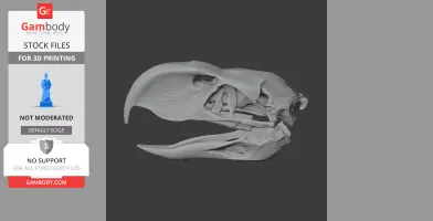 3D model of a Titanis walleri (Terror Bird) skull for printing, shown in profile view.