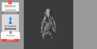 3D model of a Titanis walleri (Terror Bird) skull, viewed from above.