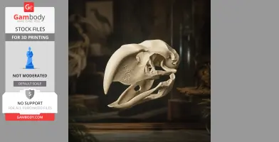 Realistic 3D model of a Titanis walleri skull, designed for 3D printing.