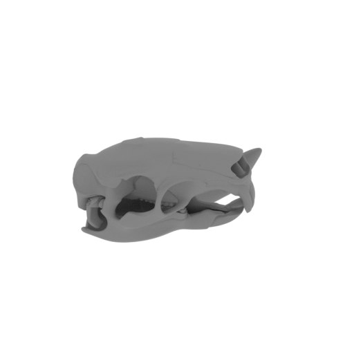 Tornieria Skull.stl