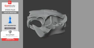 3D model of a Tornieria dinosaur skull, detailed and gray, suitable for 3D printing.