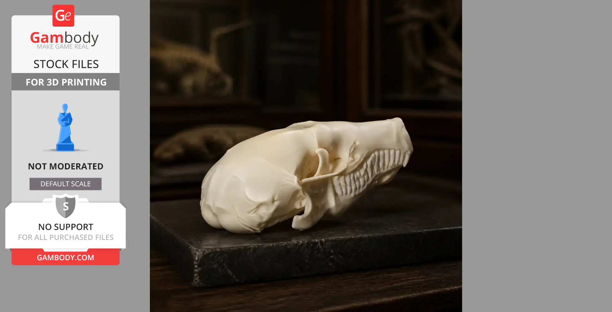 A 3D-printed Townsend's Mole skull replica on a dark surface, detailed and realistic.