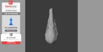 3D model of Townsend's Mole skull from a top view perspective for 3D printing.