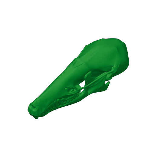Townsend's Mole Skull.3mf