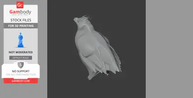Banded ground cuckoo - Prehistoric Animal STL