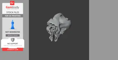 Toxodon platensis Skull - Skull Replica STL