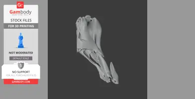 Toxodon platensis Skull - Skull Replica STL