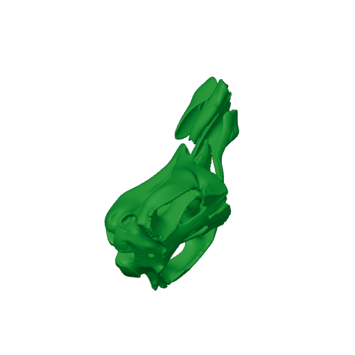 Toxodon platensis Skull.3mf
