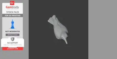3D model of a prehistoric bird with a long beak and tail, viewed from above, designed for 3D printing.
