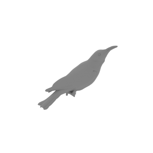 Banded honeyeater.stl