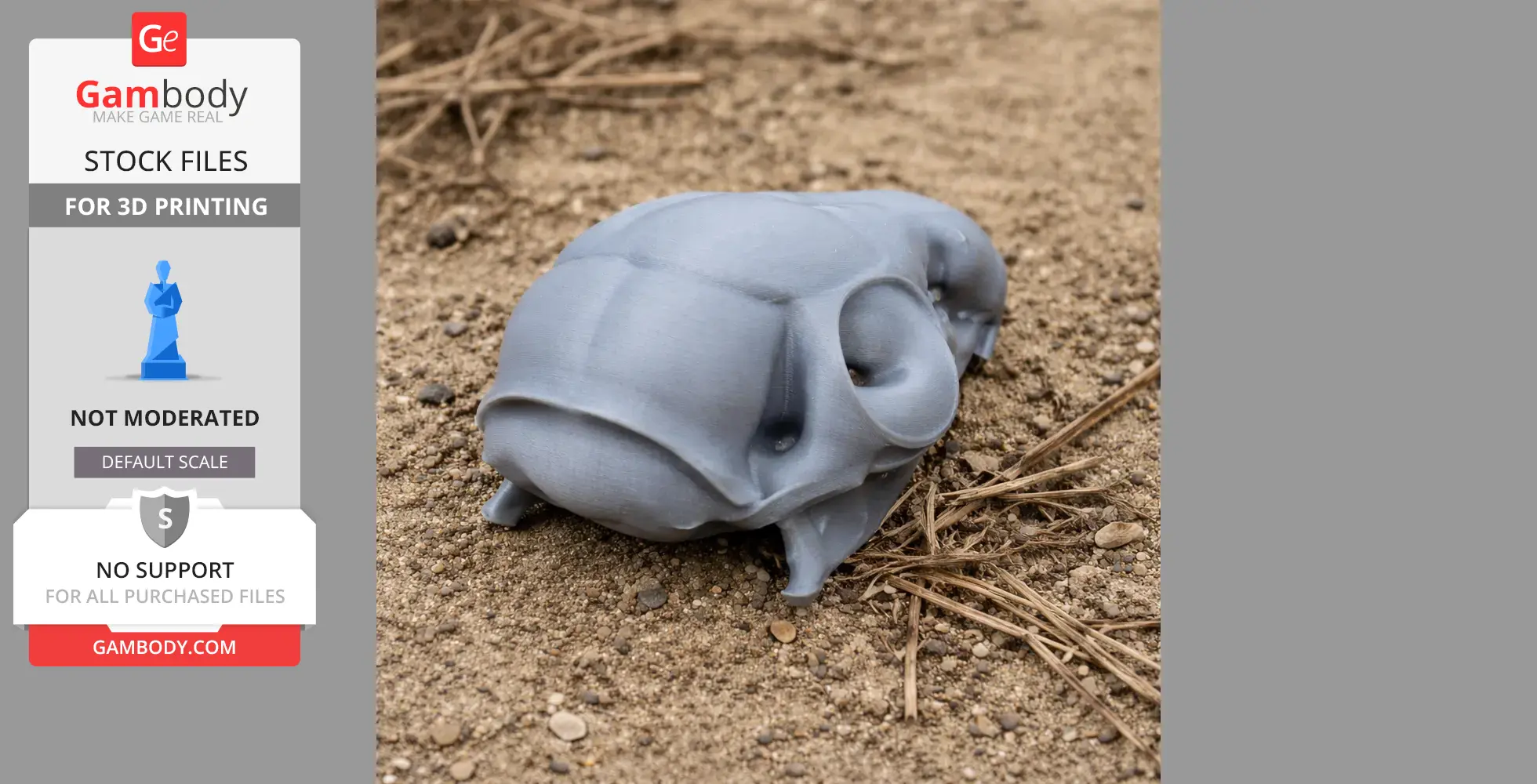 Tree Shrew Skull - Skull Replica STL