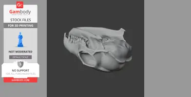 Tree Shrew Skull - Skull Replica STL