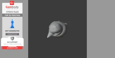 3D model of a banded kingfisher bird, viewed from above, for 3D printing.
