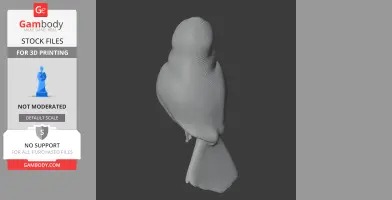 3D model of a banded kingfisher, viewed from above, with detailed feather texture.