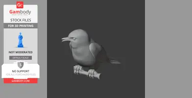 Banded martin - Prehistoric Animal STL