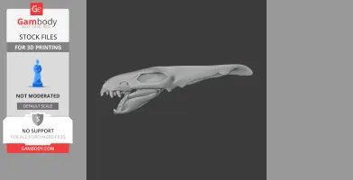 Tribelesodon Skull - Skull Replica STL