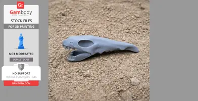 Tribelesodon Skull - Skull Replica STL