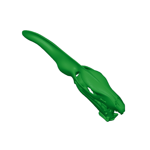Tribelesodon Skull.3mf