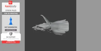Tropeognathus Skull - Skull Replica STL
