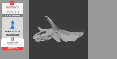 Tropeognathus Skull - Skull Replica STL