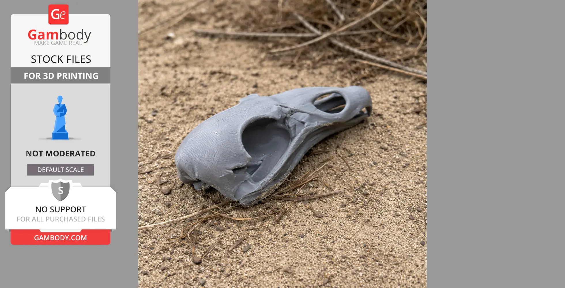 Turkey Vulture Skull - Skull Replica STL