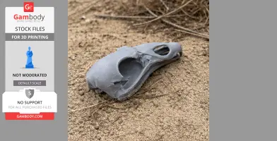 Turkey Vulture Skull - Skull Replica STL
