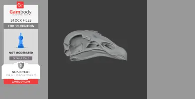 Turkey Vulture Skull - Skull Replica STL