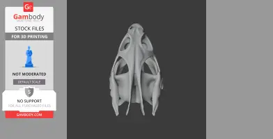 Turtle Skull - Skull Replica STL