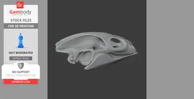 Turtle Skull - Skull Replica STL
