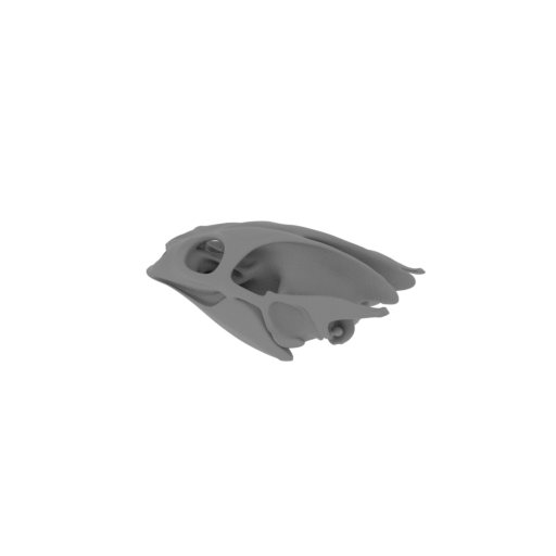 Turtle Skull.stl