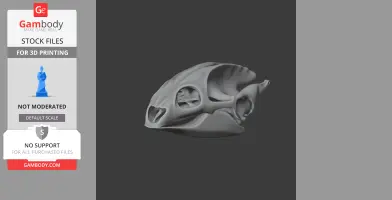 Turtle Skull - Skull Replica STL