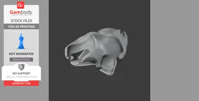 Twist-necked Turtle Skull - Skull Replica STL