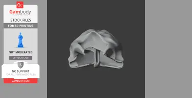 Twist-necked Turtle Skull - Skull Replica STL