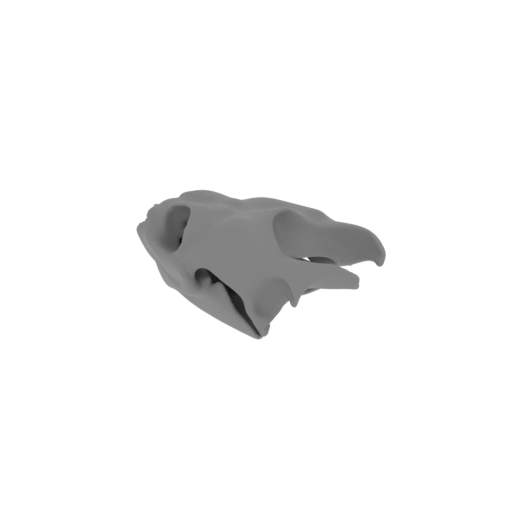 Twist-necked Turtle Skull.stl