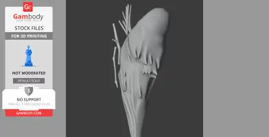 Banded parisoma - Prehistoric Animal STL